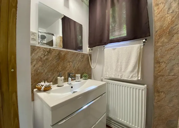 Skay Loft Bed & Breakfast Brasov