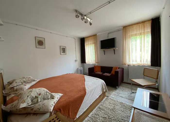 Bed & Breakfast Skay Loft Brasov