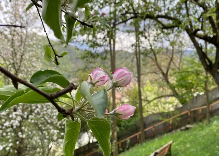 Skay Loft Bed & Breakfast 3*