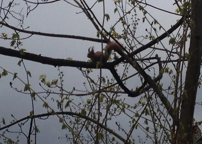 Skay Loft Bed & Breakfast 3*