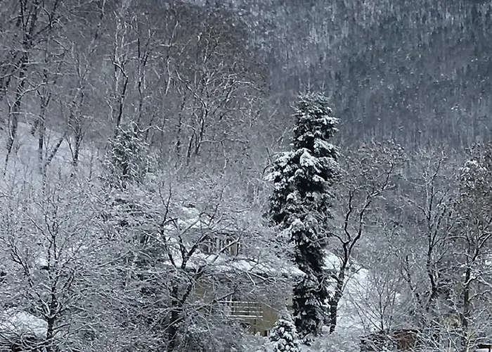 Skay Loft Bed & Breakfast Brasov